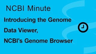 NCBI Minute Introducing the Genome Data Viewer NCBIs Genome Browser [upl. by Adnauqaj127]