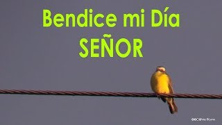 Bendice mi día Señor  Oración de la Mañana [upl. by Silecara703]