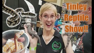 NARBC Tinley Reptile Expo October 2017 [upl. by Sarette712]