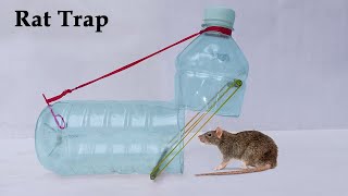 Make Easy MouseRat Trap  How To Make Water Bottle MouseRat Trap At Home [upl. by Bertie]