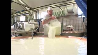 Come si fa il formaggio Asiago Tutte le risposte in questo video [upl. by Ettennahs]