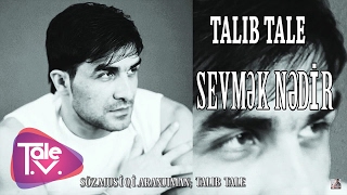 Talıb Tale  Sevmək Nədir [upl. by Adnamal]