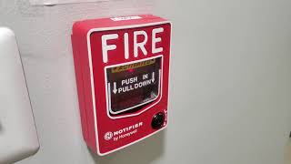 Notifier NFS320 Fire Alarm Test [upl. by Aryamo]