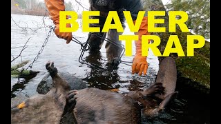 Spring Beaver Trapping 2022  Part 8 [upl. by Snodgrass]