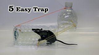 5 Easy MouseRat Trap [upl. by Molohs]