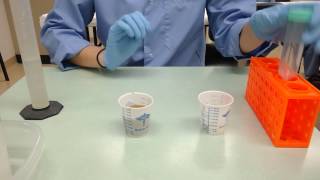 How to perform fecal exam  Sedimentation technique [upl. by Edge13]