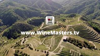 WineMastersTV  Premium Wine Streaming Platform [upl. by Eecats]