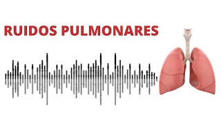 AUSCULTACIÓN PULMONAR ruidos normales y anormales [upl. by Viviane]