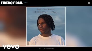 Fireboy DML  Feel Audio [upl. by Elkcim]