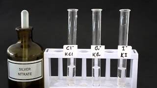 Test for halides [upl. by Brigham]