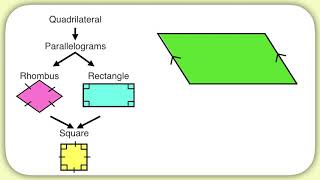 Quadrilaterals Types of Parallelograms [upl. by Nivlem136]