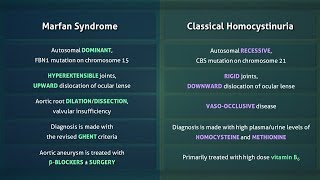 Marfan Syndrome vs Homocystinuria [upl. by Brooke]