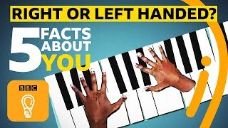 Right or lefthanded 5 facts about you  BBC Ideas [upl. by Anovahs343]