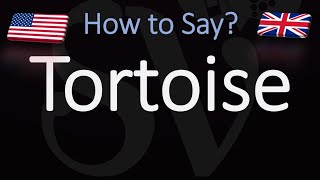 How to Pronounce Tortoise CORRECTLY [upl. by Komarek]