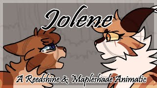 【Jolene  Reedshine amp Mapleshade  Animatic】 [upl. by Hattie]