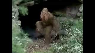 Messin With Sasquatch Greatest Hits [upl. by Romeu15]