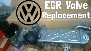 Volkswagen EGR Valve Replacement  How To [upl. by Tedmund]