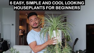 EASY HOUSE PLANTS FOR BEGINNERS [upl. by Trace110]