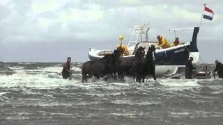 Demonstratie Paardenreddingboot Ameland [upl. by Masera]