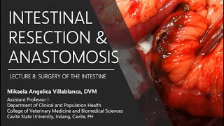 Lecture 83 Intestinal Resection and Anastomosis [upl. by Hurwitz]