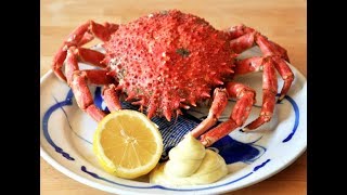 Comment Cuire lAraignée de Mer amp How to Cook spider crab [upl. by Ernaldus]