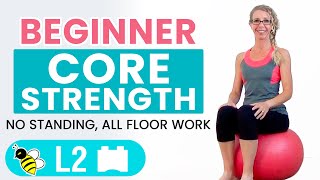 BEGINNER CORE  15 Minute STABILITY BALL Workout for BEGINNERS [upl. by Eelarac]