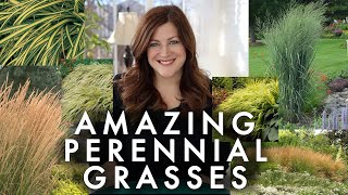 10 Perennial Grasses I Absolutely Love 🌾💚 Garden Answer [upl. by Daniela]