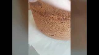 Genoise hyper moelleuse au chocolat [upl. by Siravat]