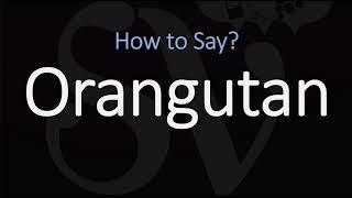 How to Pronounce Orangutan CORRECTLY [upl. by Dib]