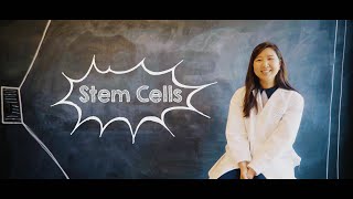 What Are Stem Cells [upl. by Nodnelg]