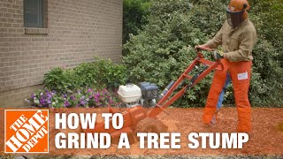 How To Grind A Tree Stump  The Home Depot [upl. by Tchao]