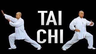 Learn Tai Chi at Home in 100 Days [upl. by Edmonda]