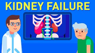 Kidney Anatomy DETAILED Renal Nephron Urinary System [upl. by Meri]