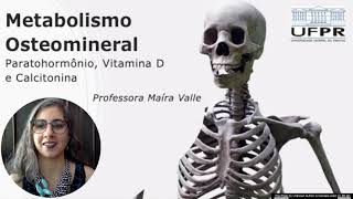 Aula 6 Metabolismo Osteomineral  PTH Vitamina D e Paratohormônio [upl. by Enawyd]