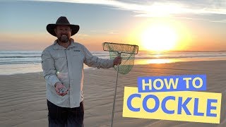 Goolwa Beach  How to Cockle [upl. by Jaine764]