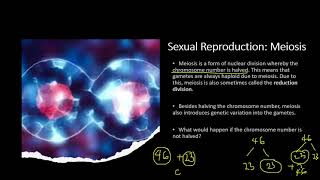 Chapter 161 Inherited Change  Chromosomes and Meiosis [upl. by Claire]