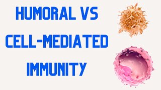 HUMORAL IMMUNITY vs CELL MEDIATED IMMUNITY [upl. by Nosam]