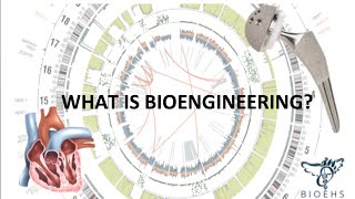 What is Bioengineering  BioEHS [upl. by Ayama710]