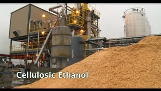 Renewable Biofuels and Biochemicals Cellulosic Ethanol [upl. by Appledorf]