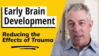 Dr Bruce Perry  Early Brain Development Reducing the Effects of Trauma [upl. by Saxe]