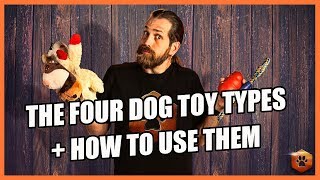 How to Use the 4 Types of Dog Toys RIGHT [upl. by Arraes]