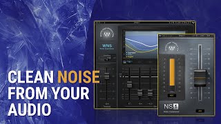 How To Clean Unwanted Noise in Audio Waves WNS  NS1 Tutorial [upl. by Jollanta]