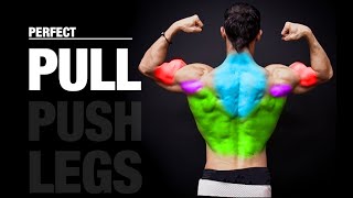 The PERFECT Pull Workout PUSH  PULL  LEGS [upl. by Cormack]