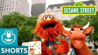 Sesame Street Old MacMurray Had A Farm [upl. by Adnolor]