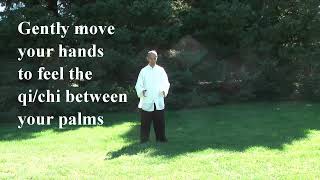 Tai Chi for Balance  Dr Paul Lam Tai Chi [upl. by Sasha197]