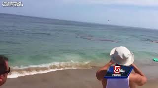 Video shows shark attack feet away from Cape Cod surfers [upl. by Ettedanreb12]