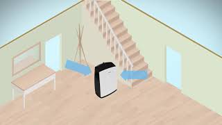 Dehumidifiers How do they work [upl. by Monjan]