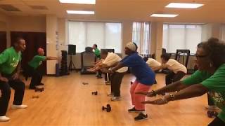 Strength Training Workout for Older Adults [upl. by Enerol]