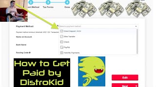 DistroKid Payment Methods How to Get Paid by DistroKid Tutorial [upl. by Gallager523]