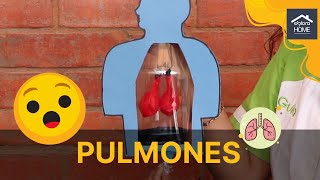 PULMONES CASEROS CON GLOBOS Y UNA BOTELLA [upl. by Melodee675]